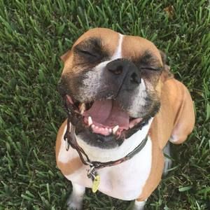 Meet your Posher, Colleen